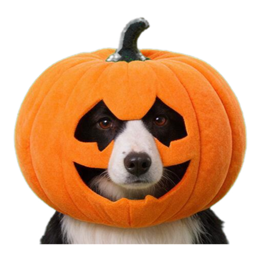 Pet Costume Party (12 looks) — example sticker 3