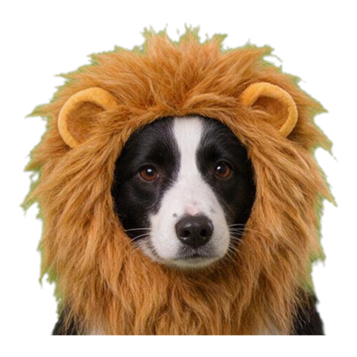 Pet Costume Party (12 looks) — example sticker 4