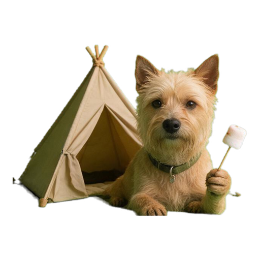Pet Hobbies (12 pastimes) — example sticker 11