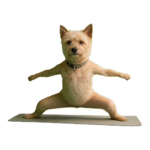 Pet Hobbies (12 pastimes) — example sticker 4