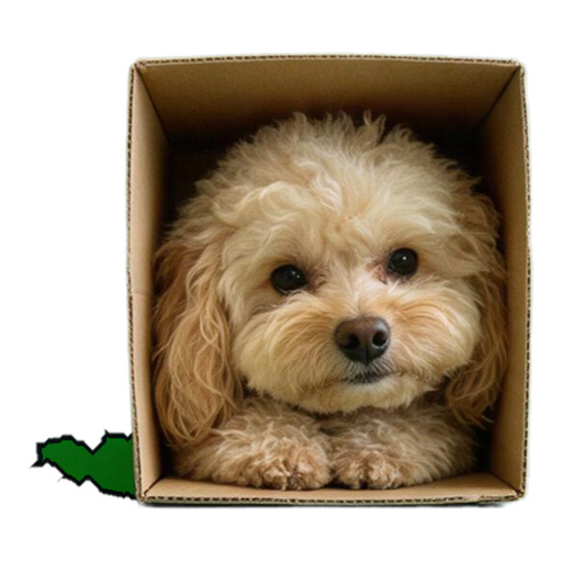 Pet Memes (9 classics) — example sticker 2