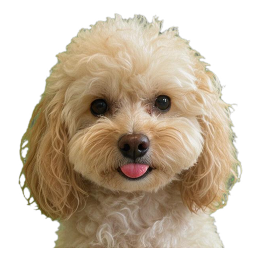 Pet Memes (9 classics) — example sticker 4