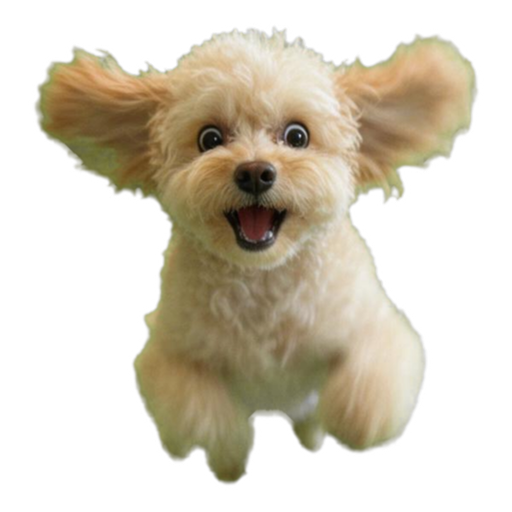 Pet Memes (9 classics) — example sticker 5