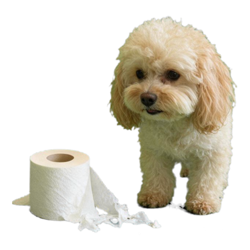 Pet Memes (9 classics) — example sticker 9