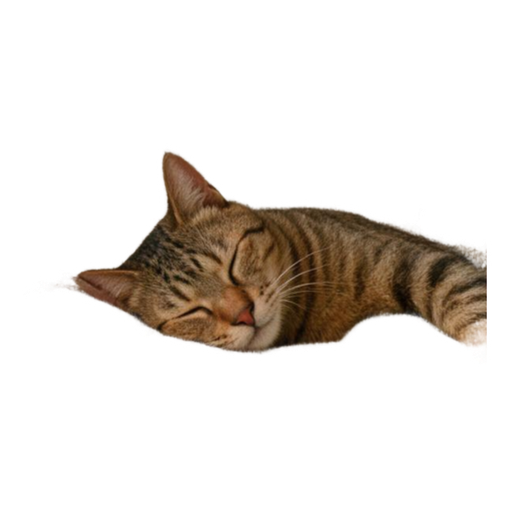 Pet Sleep Positions (9 naps) — example sticker 8